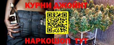 индика Кинель