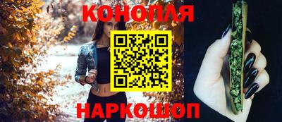 индика Кинель